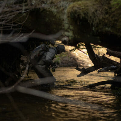 Man in river ducks under runnel of fallen branches and logs