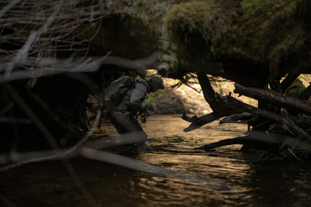 Man in river ducks under runnel of fallen branches and logs