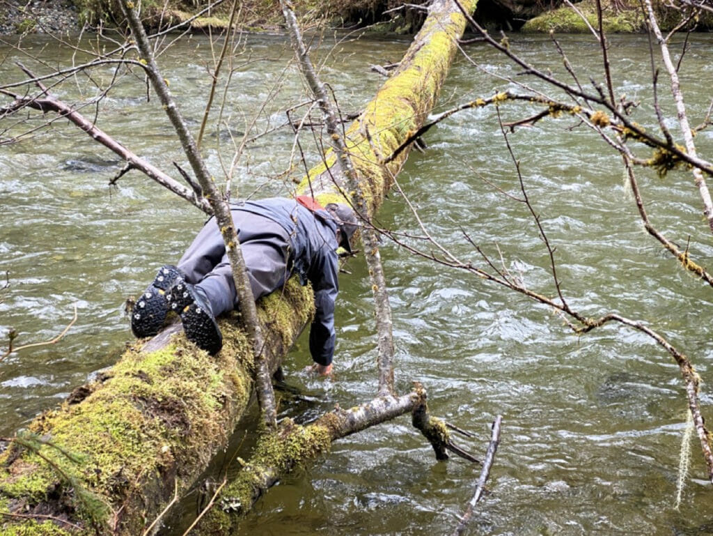 Man lays on mossy tree that has fallen, touching the stream below with his hand