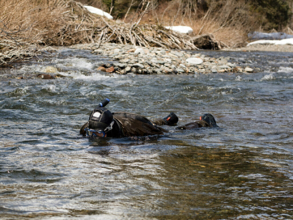 Man in wetsuit snorkels in cold water