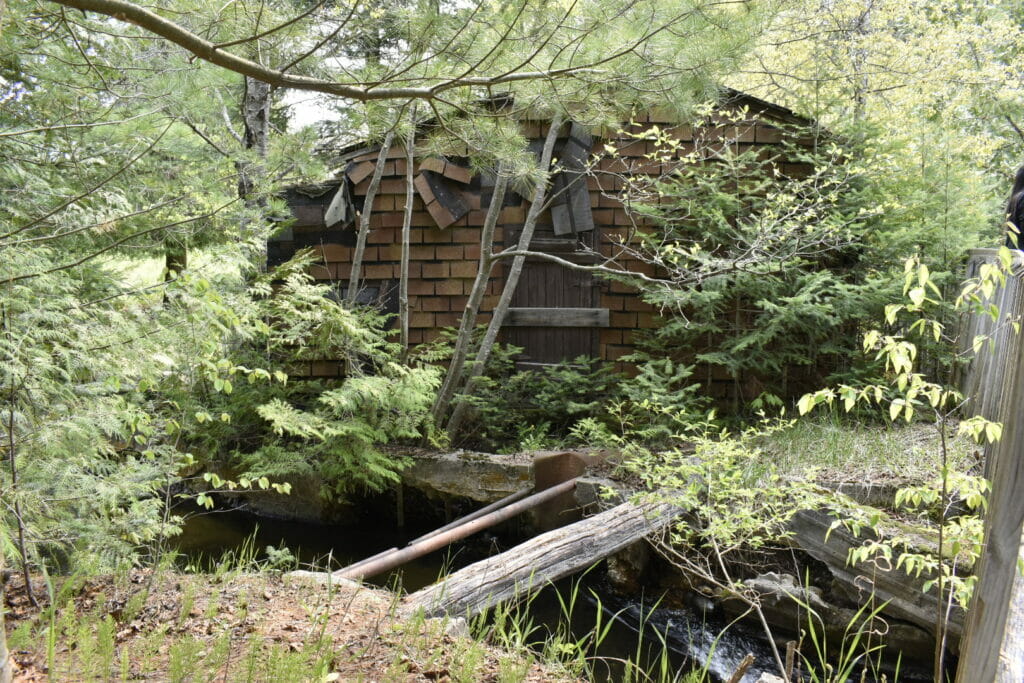 Small dilapidated house near over growing trees and a river