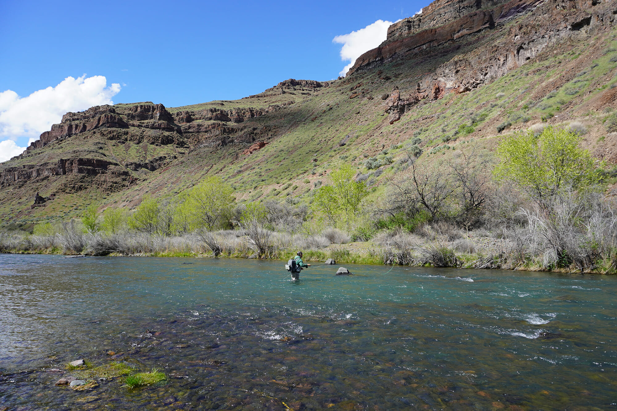 Owyhee River Fly Fishing Eastern Oregon's top rivers