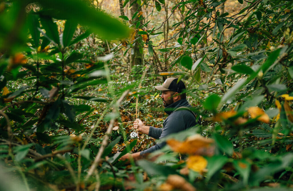 Man, seen through funnel of leaves, in mid-cast