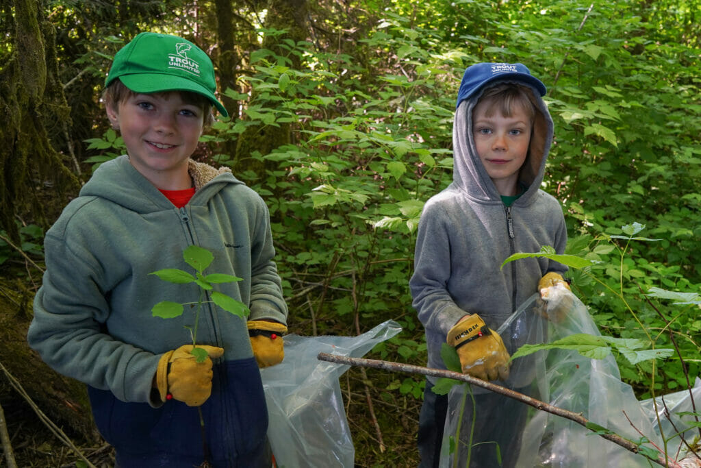 Two boys in the woods collecting things in a clear bags