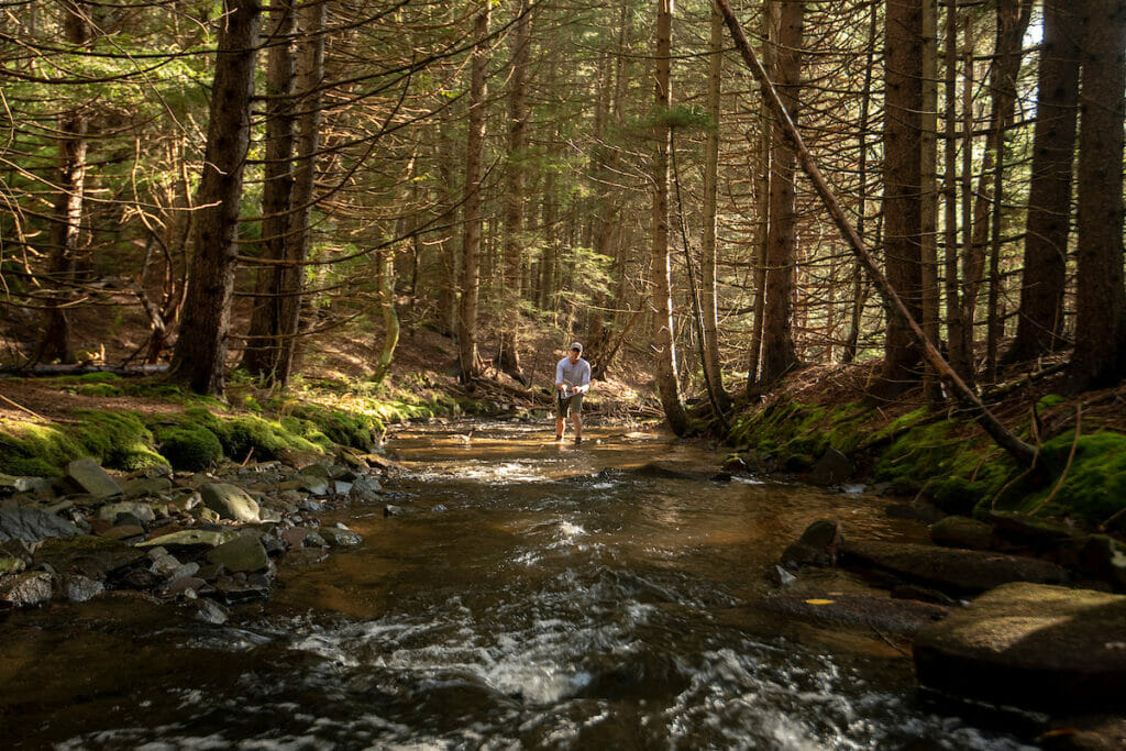 A man fishing in a river