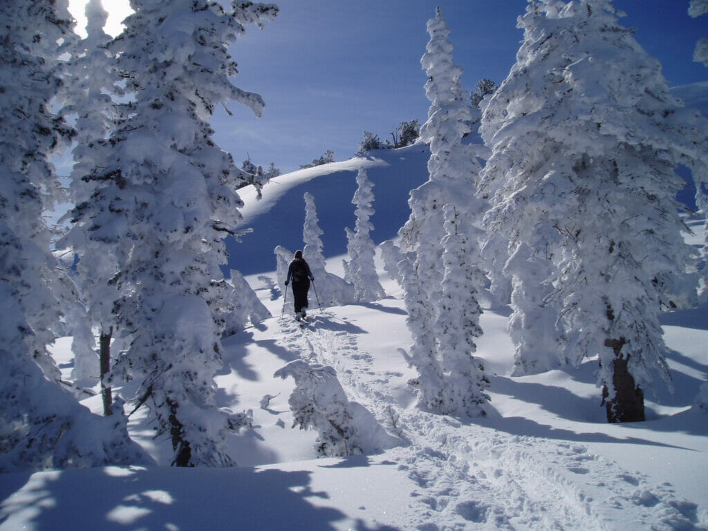 A person in the distance cross country skiing on powdery snow