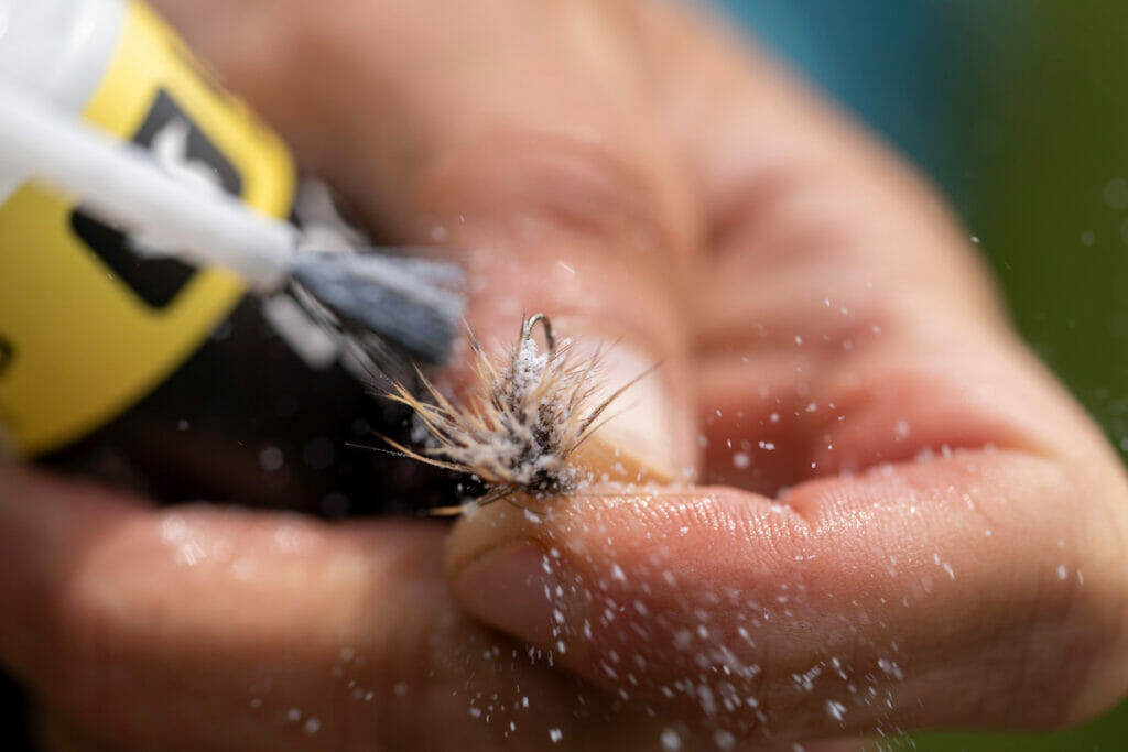 Close up of a fly