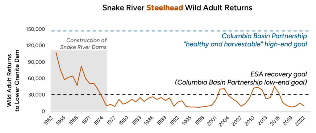Chart titled "Snake River Steelhead Wild Audit Returns" showing a downward trend between 1962 to 2002 from 120,000 to 10,000.