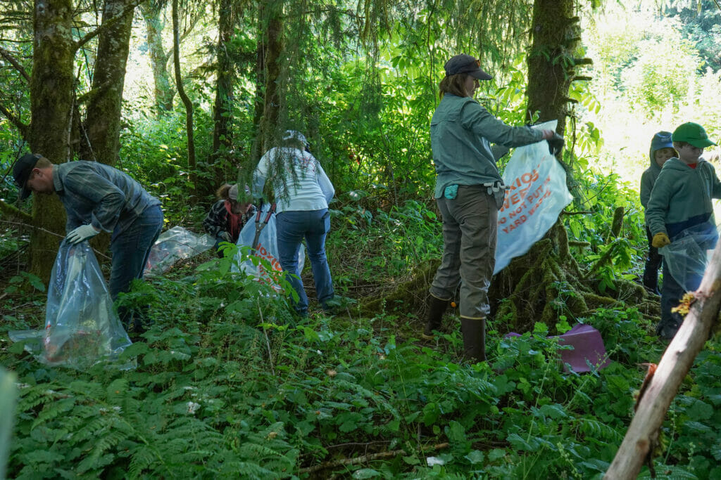 Adults and kids in the woods putting weeds into bags