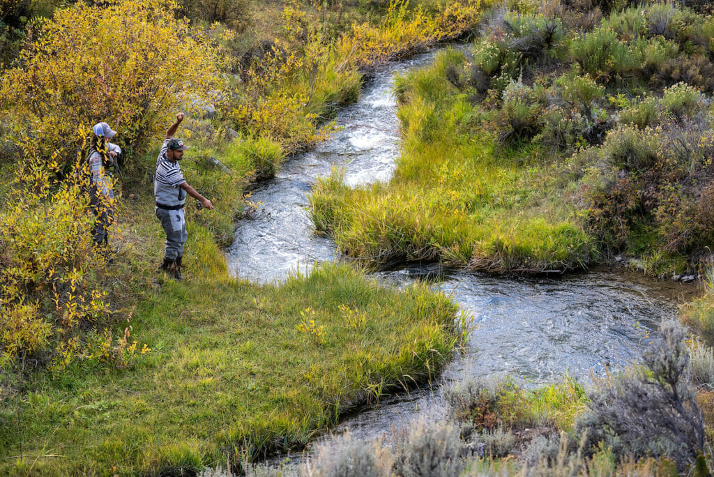 Two people fishing in a narrow winding stream