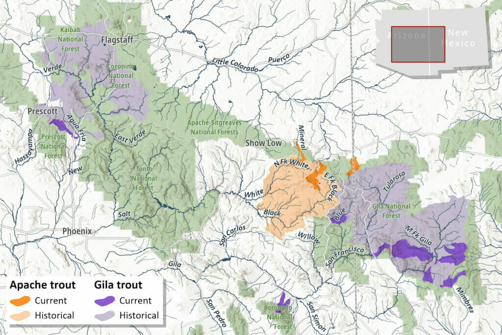 A topographical map showing the current and historical Apache and Gila trout locations