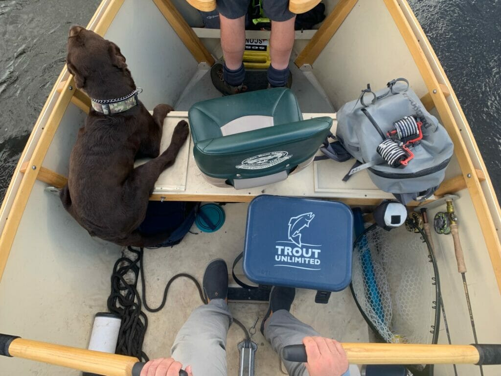 Two men and a dog in a boat, view from above