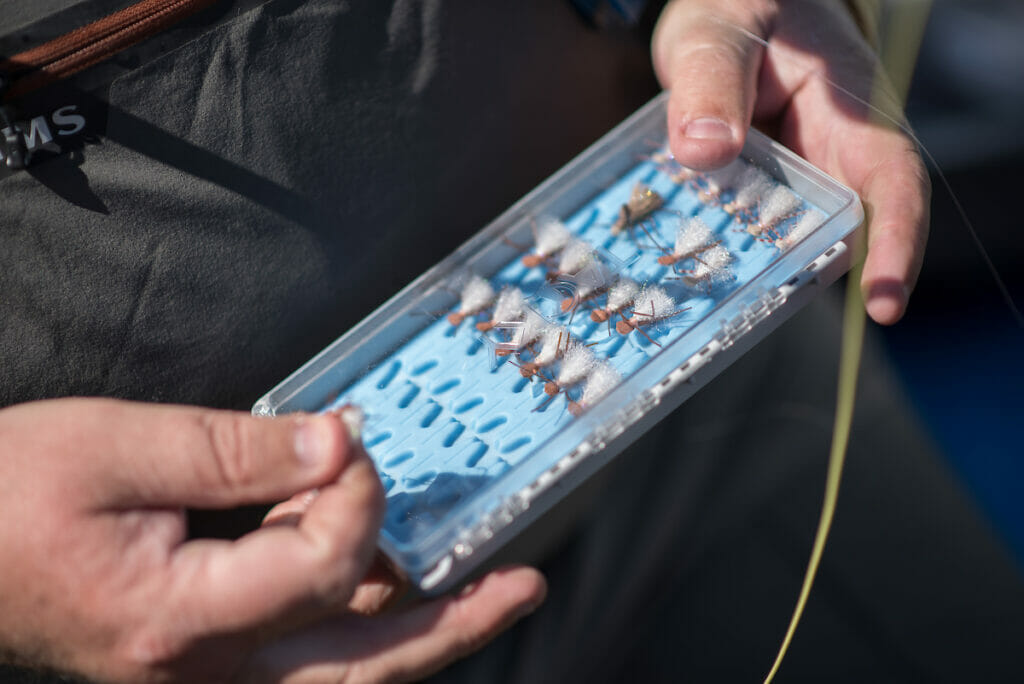 Mans hands holding a case of flys