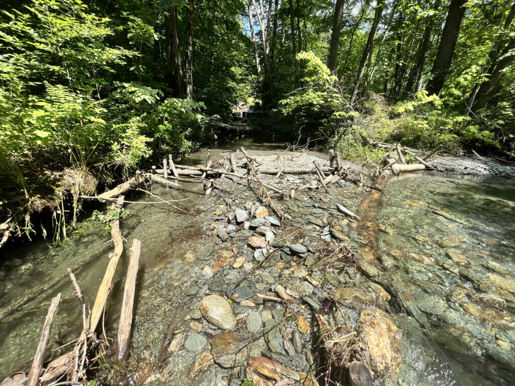 A stream with flat rocks and tree branches