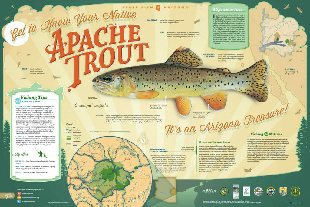 Informational poster about Apache Trout shown at the Stream Salmonids Symposium