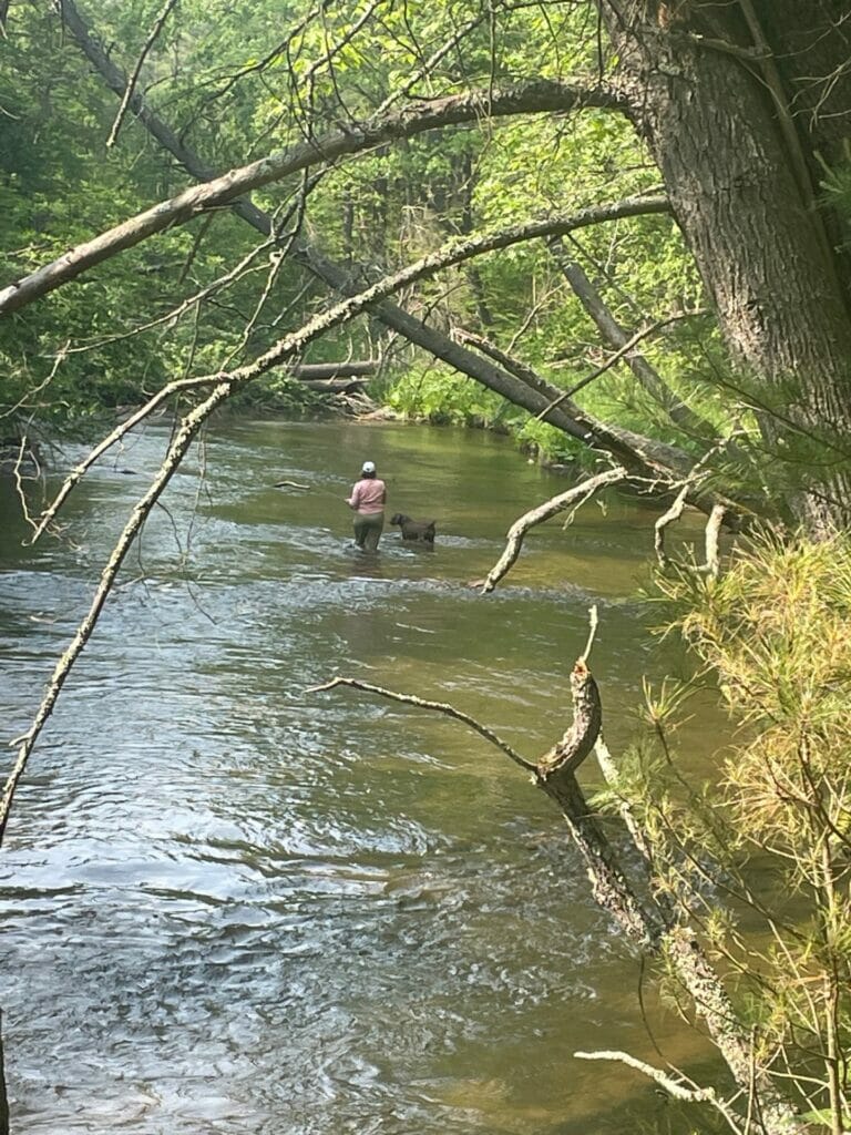 Woman and her dog in a river