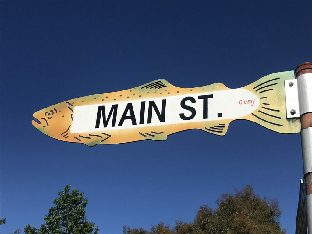 Street sign in the shape of a fish reads "MAIN ST."