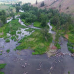 Arial view