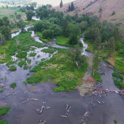 Arial view