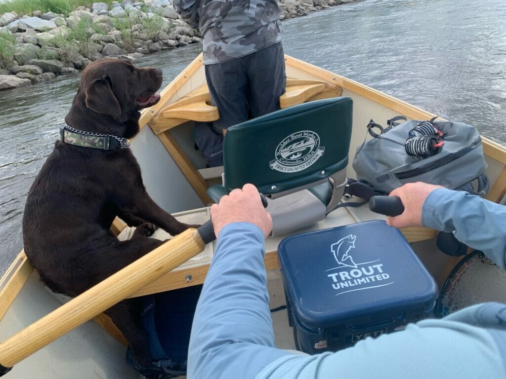 Two men and a dog us a cooler to balance the boat