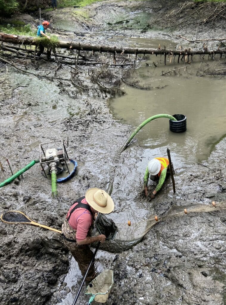 Two men stand in a muddy creek with a hose coming out of a pipe in the water
