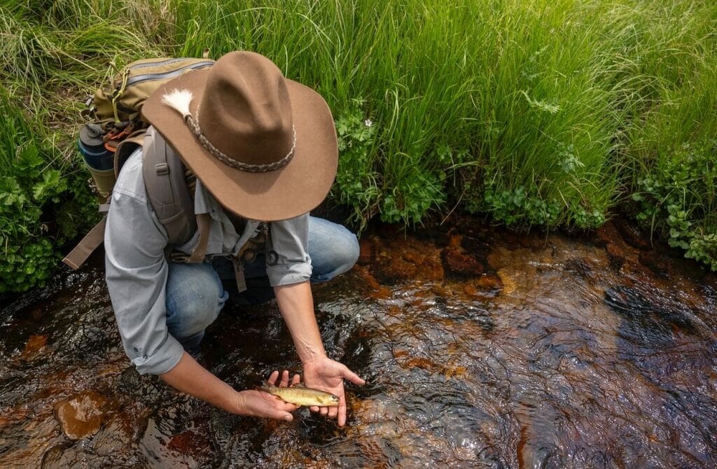 Man crouches in a stream holding a small trout