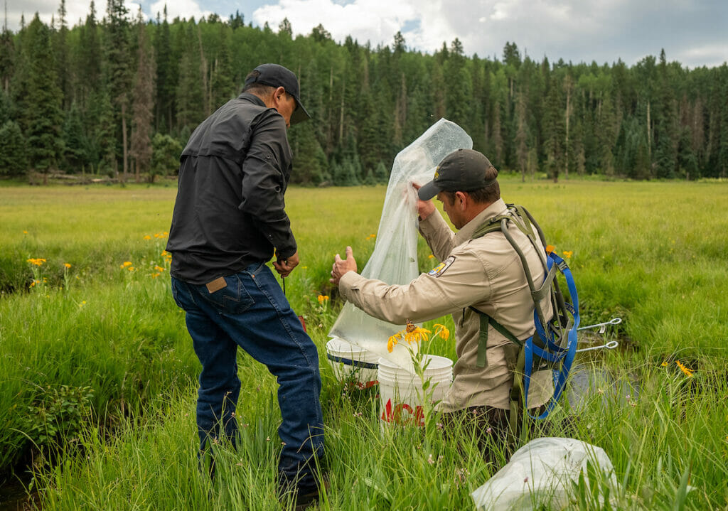 Two men messing with a plastic bag and buckets next to a stream in a field.