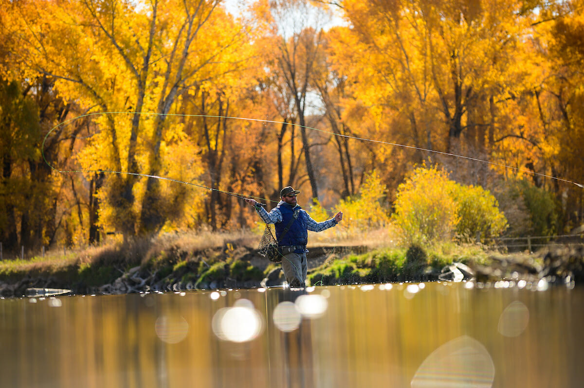 Man casting in a stream with autumn leaves in teh background