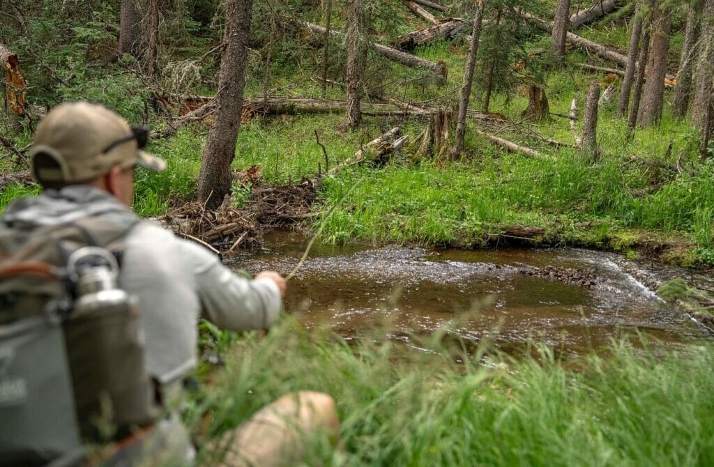 Blurry man casts into a shallow stream