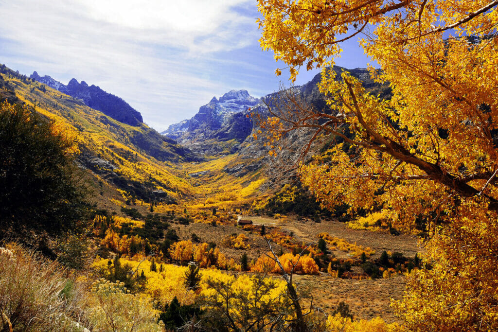 Mountainous valley with autumn yellow colors