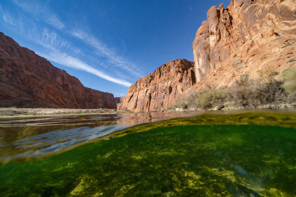 Photo taken from waterline of a river surrounded by the Grand Canyon
