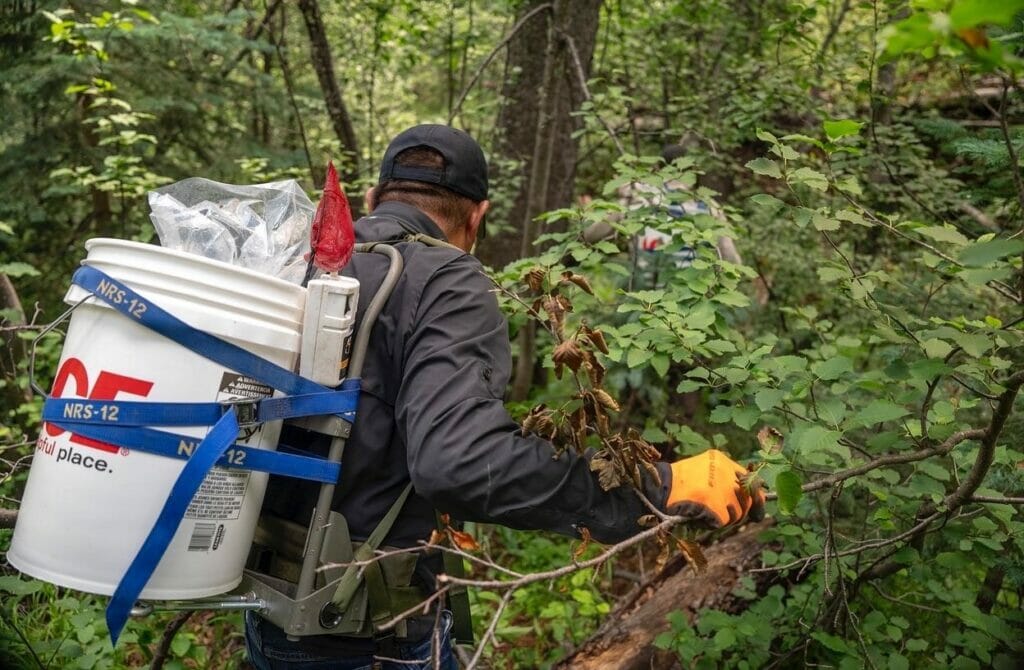 Man with a bucket on his back moves through the woods