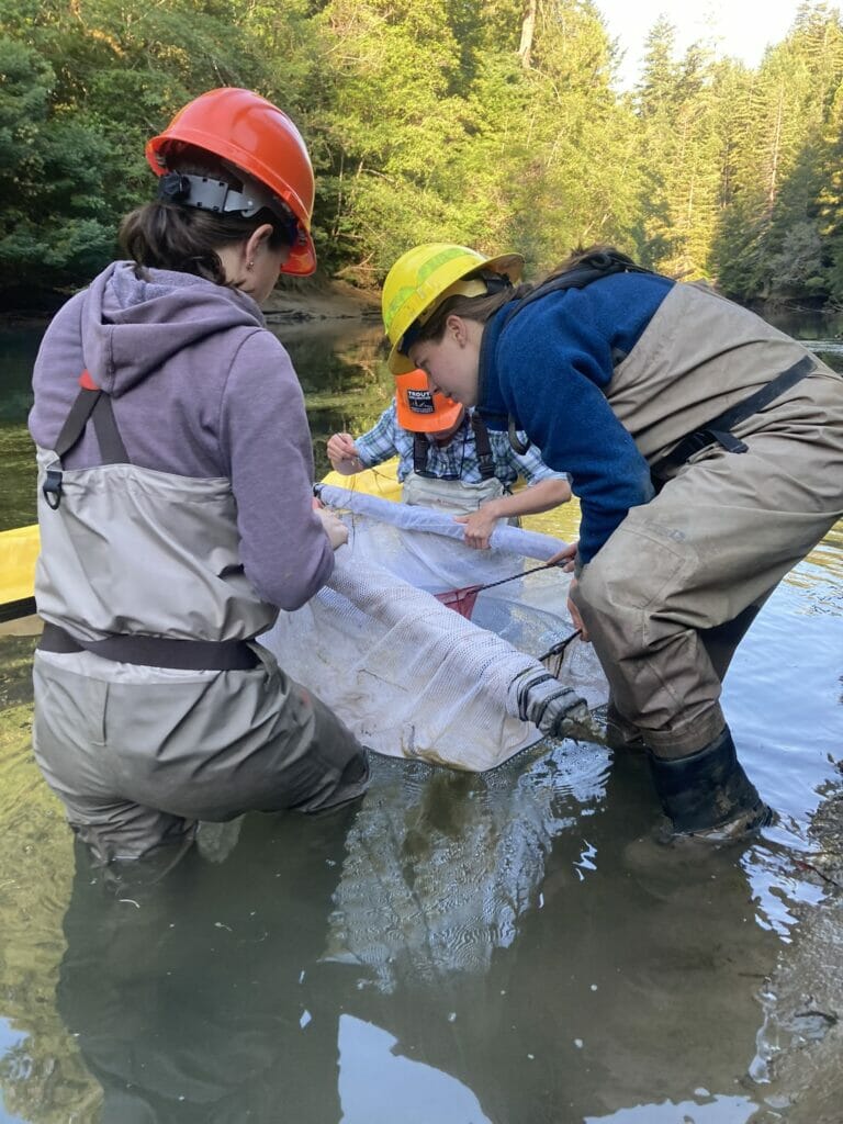 Three women stand in a stream with nets