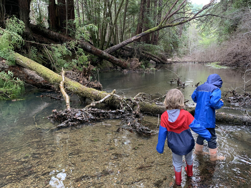 Two children wade in stream
