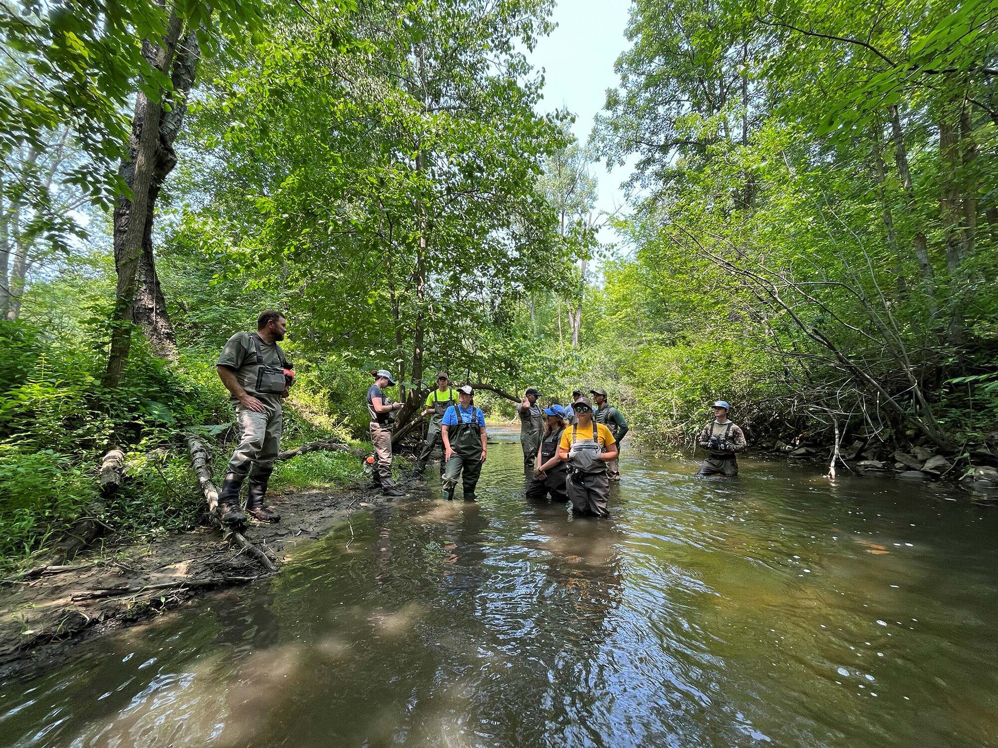 Group of people wearing waders stands in a stream