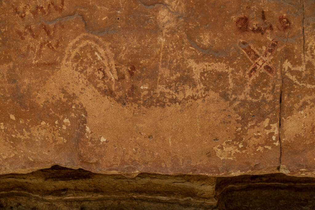 Petroglyphs of a horned beast, zig zag, and crossing oblong circle shapes