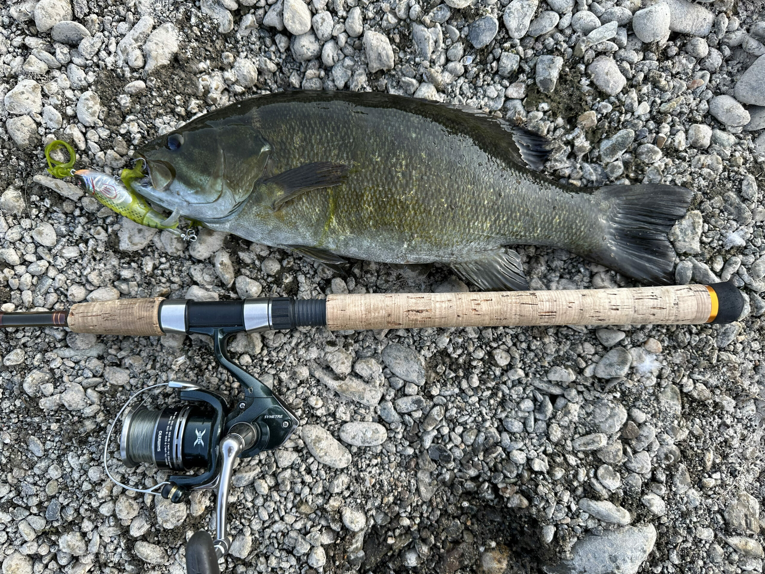 A South Umpqua bass next to a fishing pole handle