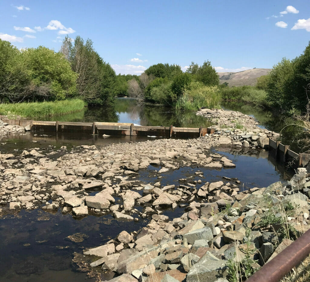 A shallow rocky creek with a small wooden dam on Tomichi Creek 