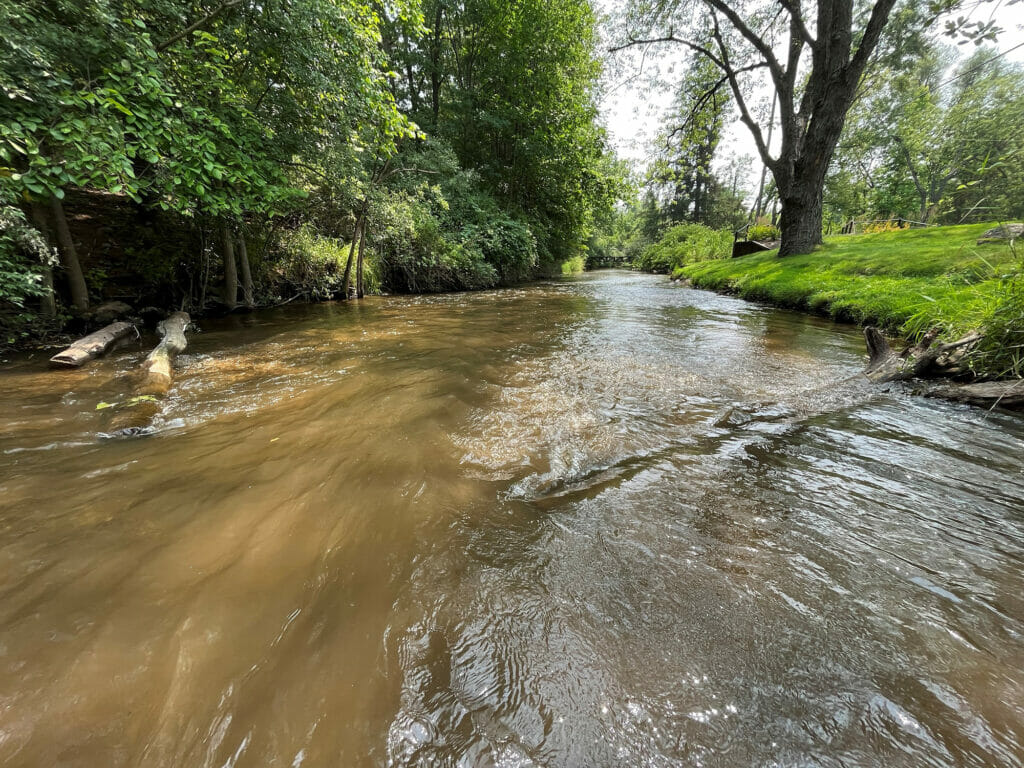 A shallow but fast moving stream is trout habitat
