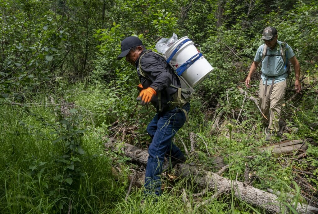 Man with bucket on his back steps over a log in the woods