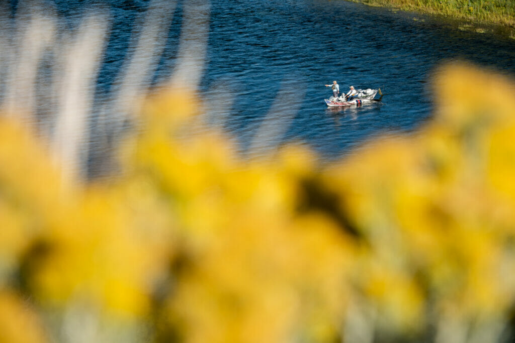 Some men in a boat with some blurry yellow flowers in the way