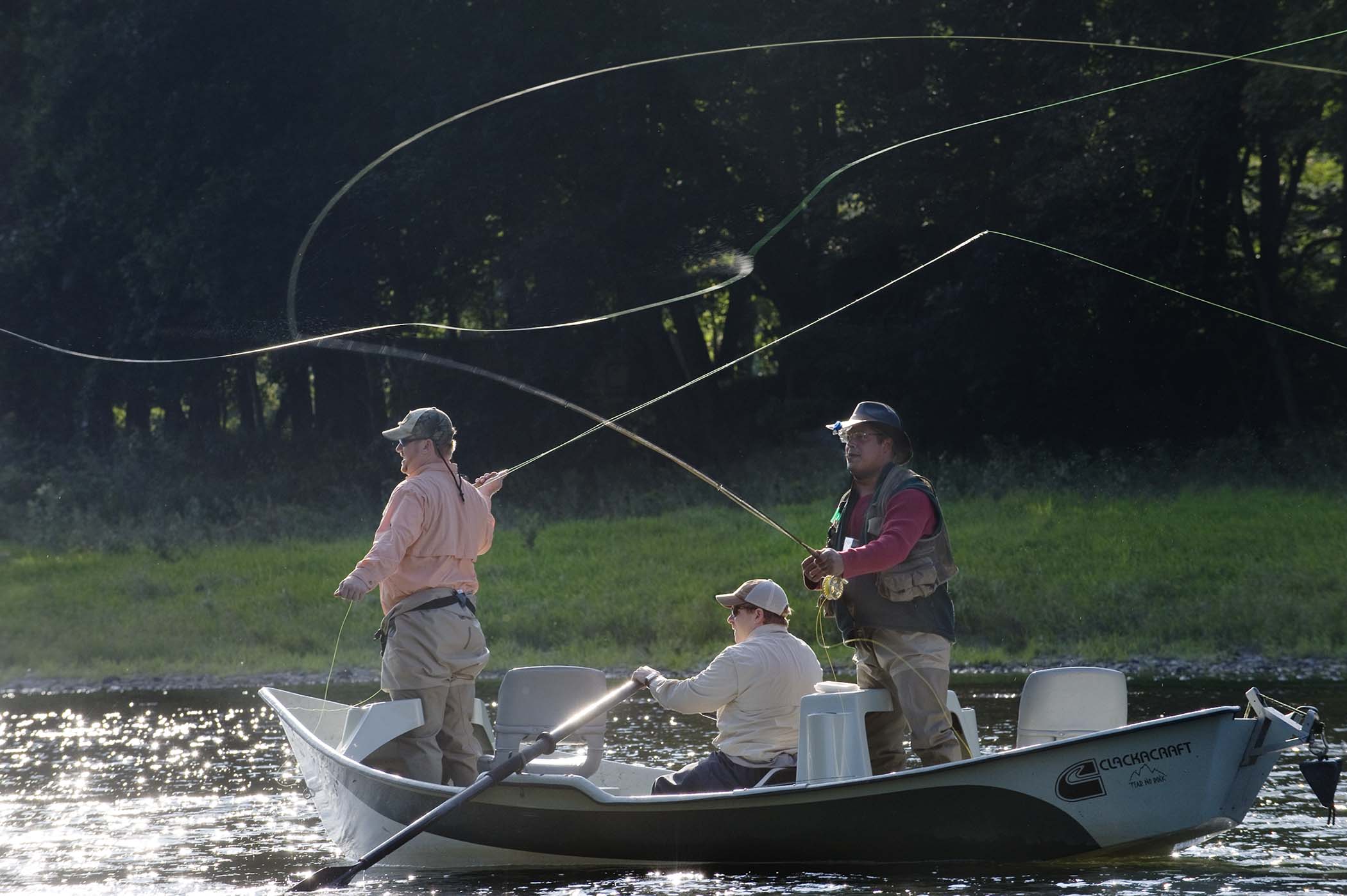 rods