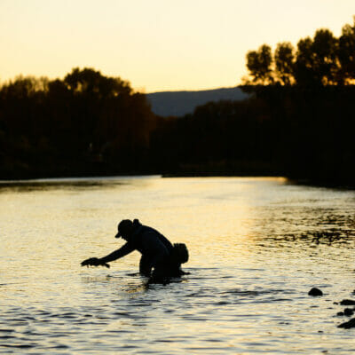 Silhouette of man showing a fish what water is