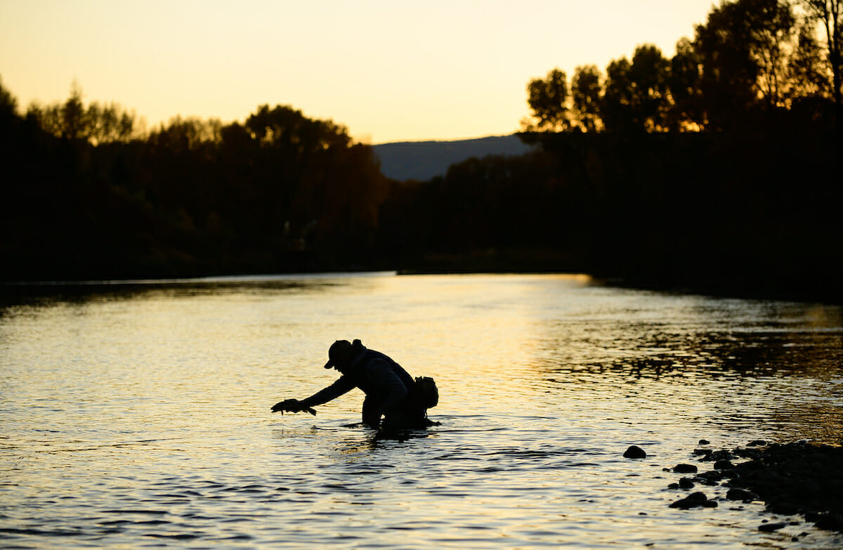 Silhouette of man showing a fish what water is