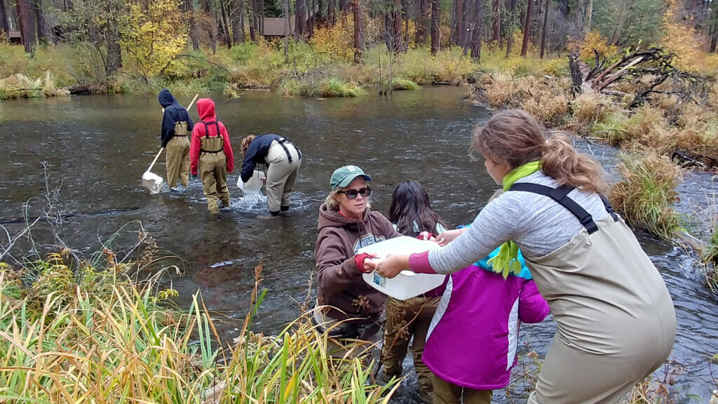 A teacher and group of kids collect macroinvertebrates out of a river with nets and buckets
