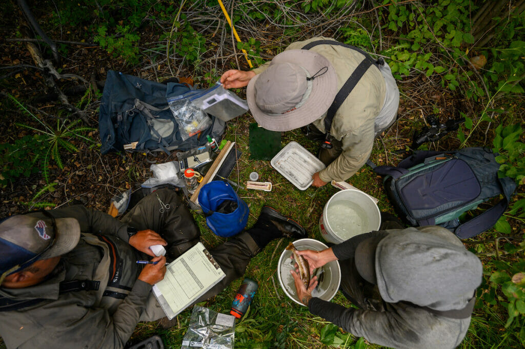 View from above of three people who caught a fish and are studying it