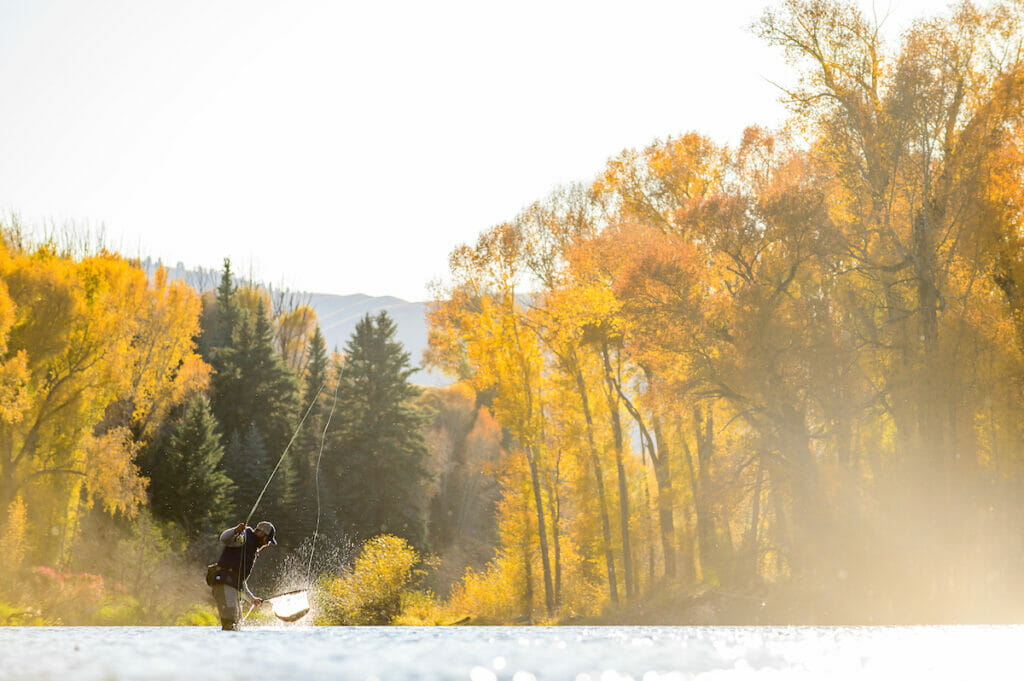 Man with a fish in his net with golden fall leaves surrounding the rivers