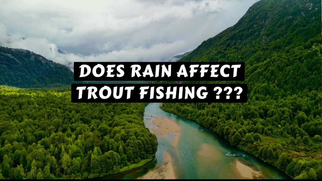 Video poster that reads "Does Rain Affect Trout Fishing?"