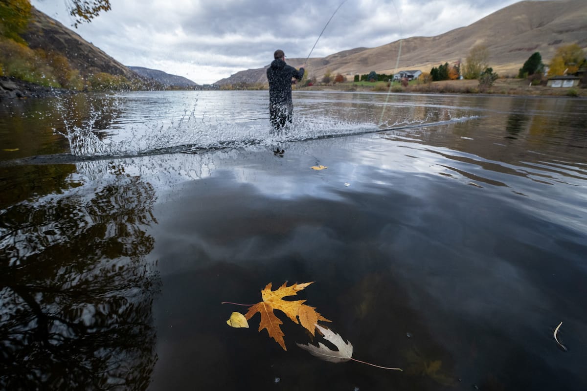 Tip – Fly Fishing For Salmon And Steelhead - Trout Unlimited