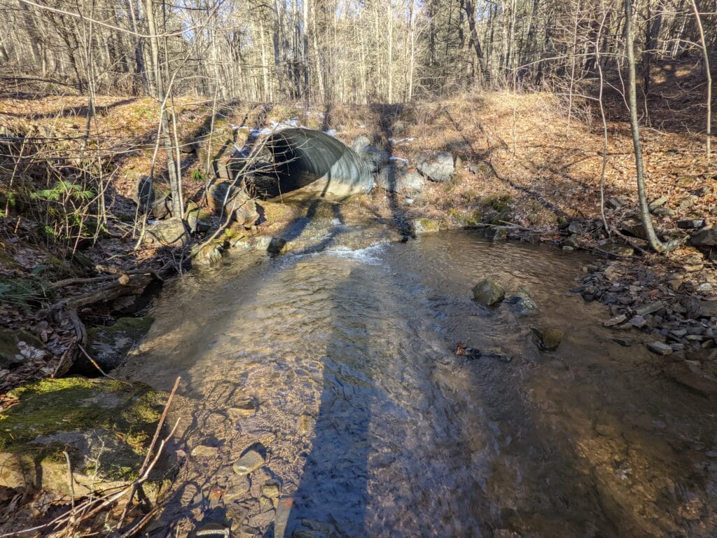 Virginia Project Frees A Stream — And Trapped Trout Trout Unlimited